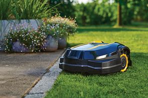 Cub Cadet XR5 2000 - Afbeelding 2